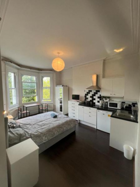 Private Studio Apt- Stunning views of Ealing Common Park. Moments from station